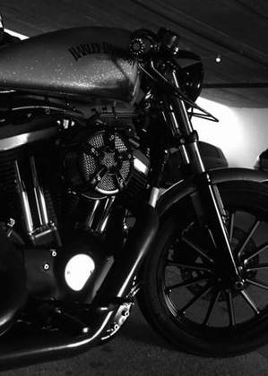HARLEY-DAVIDSON SPORTSTER IRON 883 